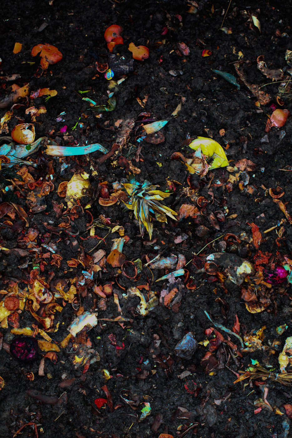 Viacheslav Poliakov. 2022