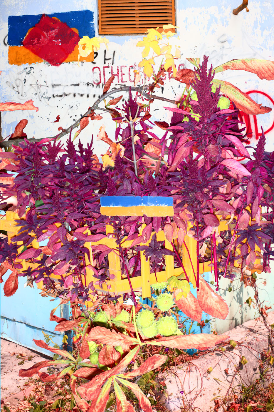 Collage of purple grass and foliage