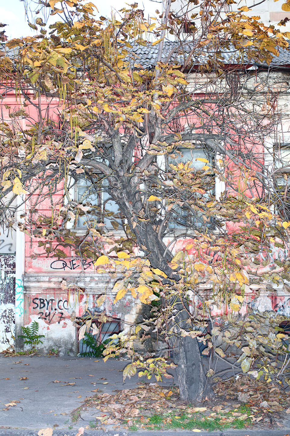 Viacheslav Poliakov. 2022