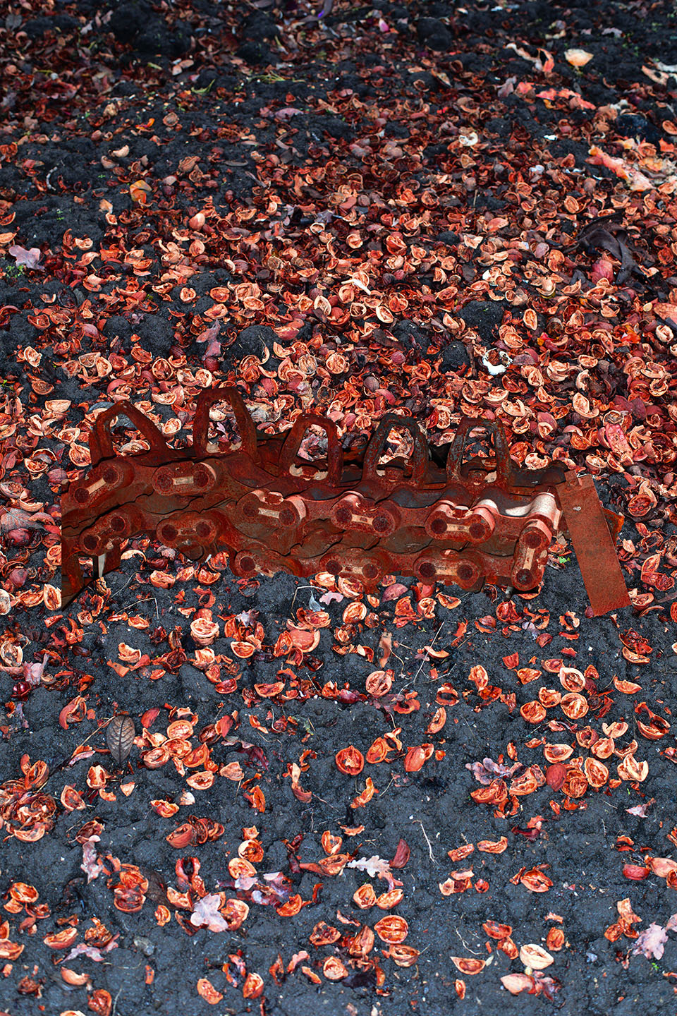 Viacheslav Poliakov. 2022