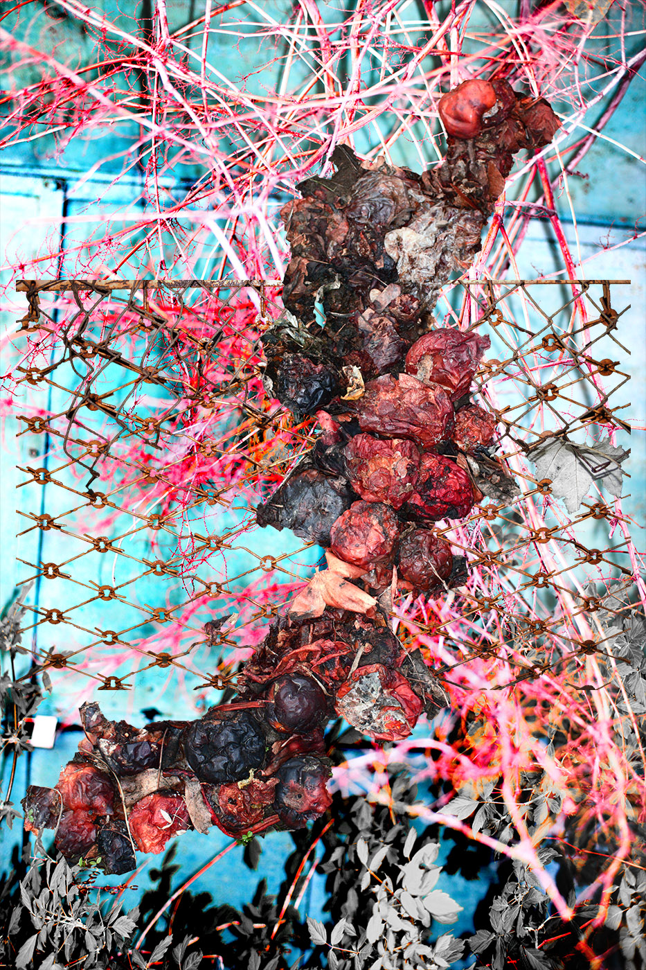 Viacheslav Poliakov. 2022