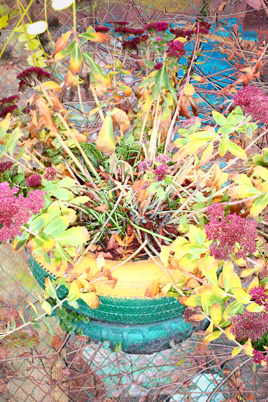 Viacheslav Poliakov. 2022