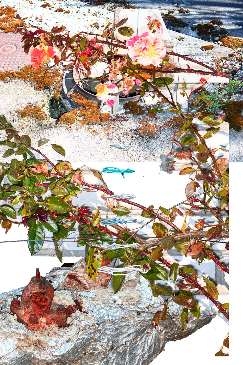 Viacheslav Poliakov. 2022