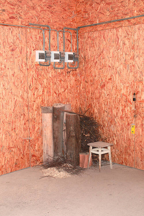 Viacheslav Poliakov. Krasavchyky