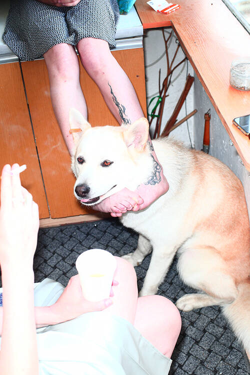 Viacheslav Poliakov. Krasavchyky