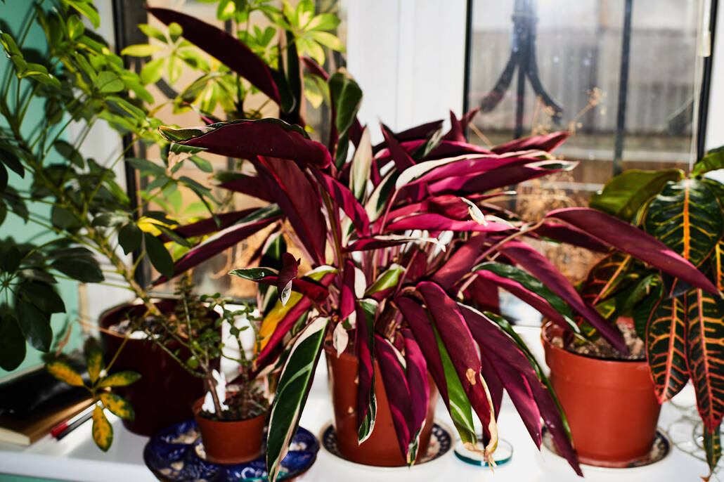 Viacheslav Poliakov. Krasavchyky