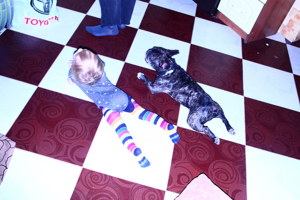 Viacheslav Poliakov. Krasavchyky