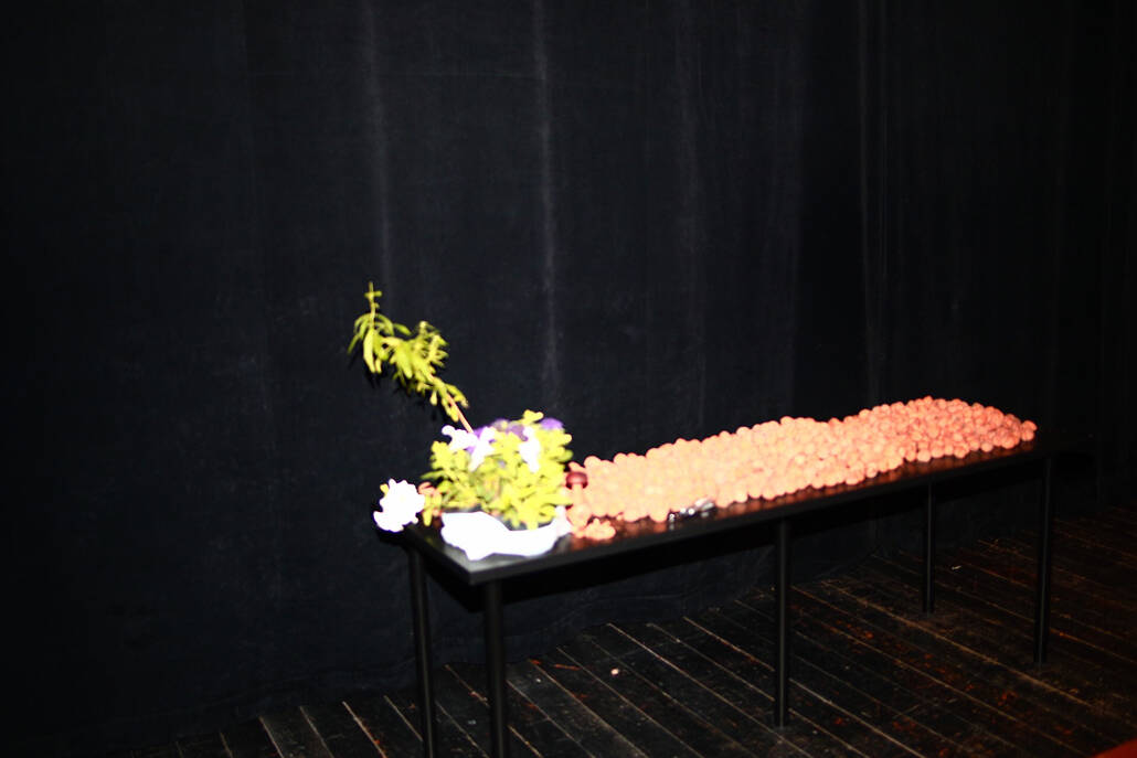 Viacheslav Poliakov. Krasavchyky