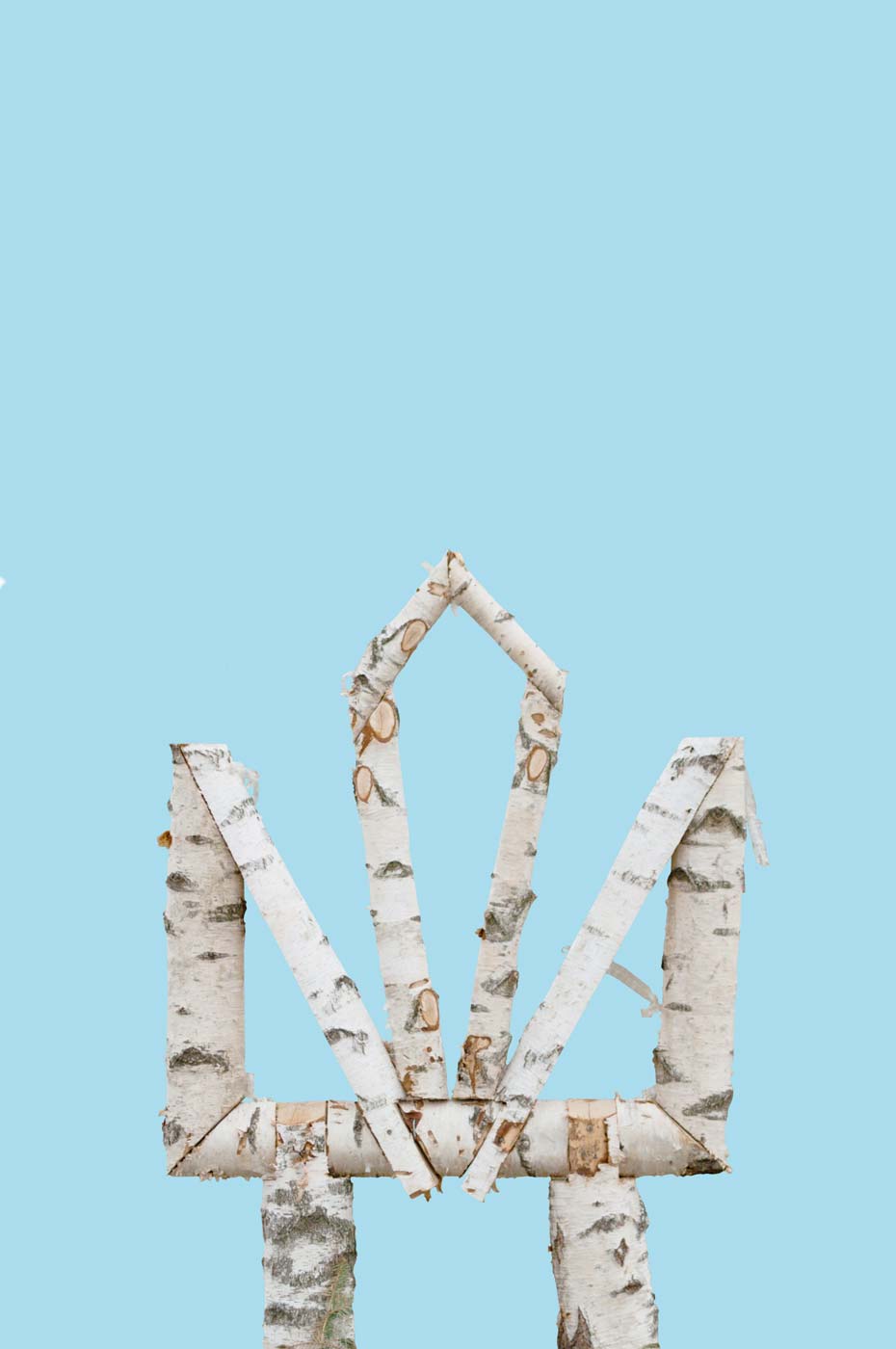 Trident made out of birch tree over blue background